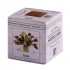 Aroma cubes TULIP (8pcs)